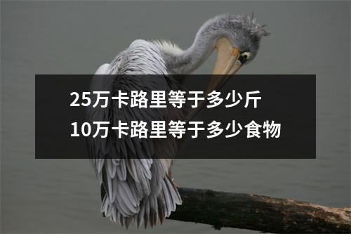 25万卡路里等于多少斤 10万卡路里等于多少食物