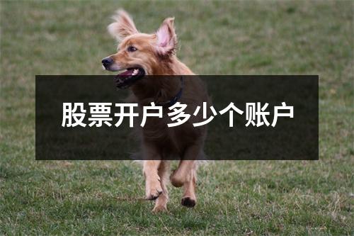 股票开户多少个账户