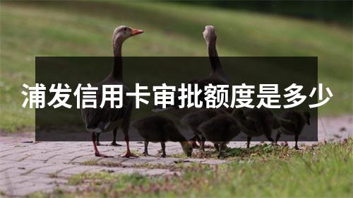 浦发信用卡审批额度是多少