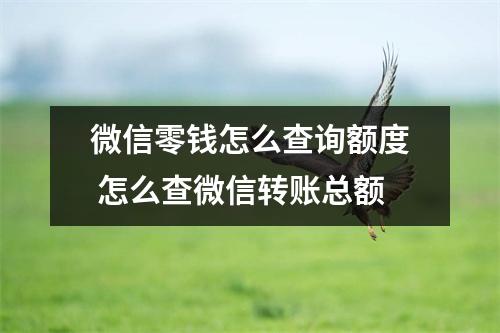 微信零钱怎么查询额度 怎么查微信转账总额