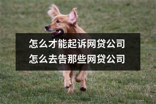 怎么才能起诉网贷公司 怎么去告那些网贷公司
