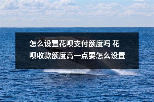 怎么设置花呗支付额度吗 花呗收款额度高一点要怎么设置