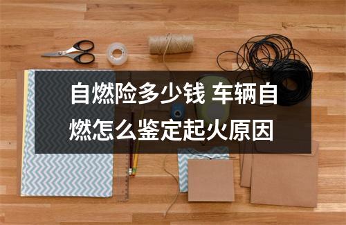 自燃险多少钱 车辆自燃怎么鉴定起火原因