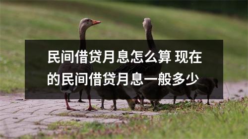 民间借贷月息怎么算 现在的民间借贷月息一般多少