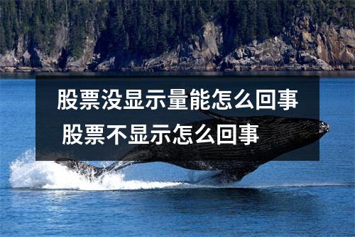 股票没显示量能怎么回事 股票不显示怎么回事