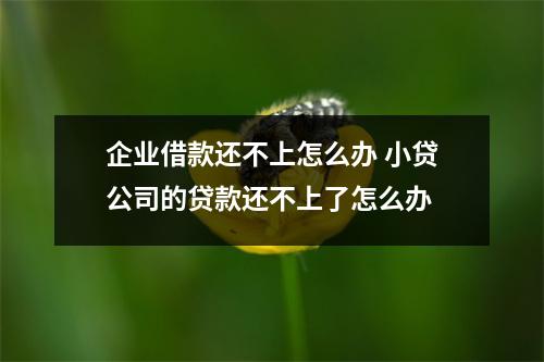 企业借款还不上怎么办 小贷公司的贷款还不上了怎么办