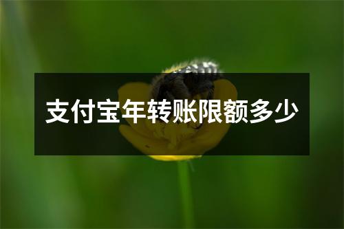 支付宝年转账限额多少