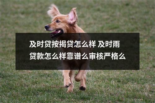 及时贷按揭贷怎么样 及时雨贷款怎么样靠谱么审核严格么