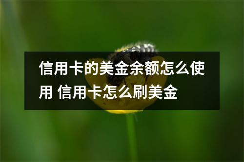 信用卡的美金余额怎么使用 信用卡怎么刷美金