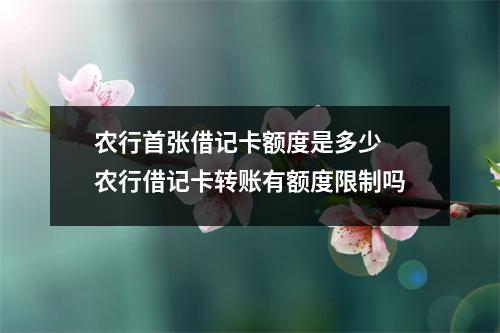 农行首张借记卡额度是多少 农行借记卡转账有额度限制吗