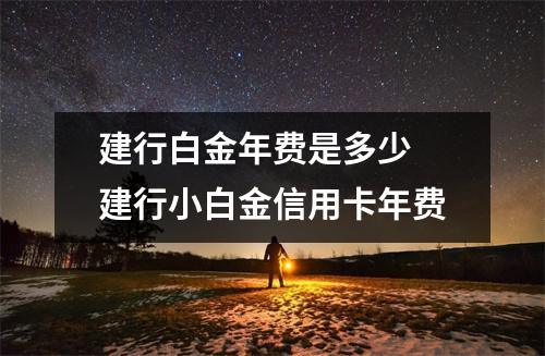 建行白金年费是多少 建行小白金信用卡年费