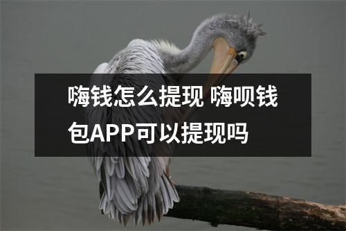 嗨钱怎么提现 嗨呗钱包APP可以提现吗