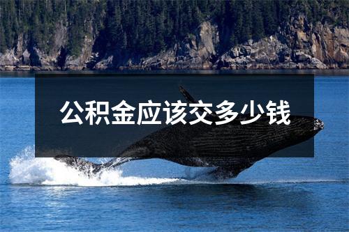 公积金应该交多少钱