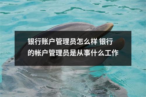银行账户管理员怎么样 银行的帐户管理员是从事什么工作