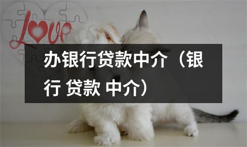 办银行贷款中介（银行 贷款 中介）