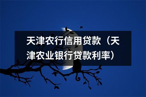 天津农行信用贷款（天津农业银行贷款利率）