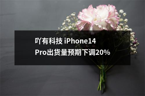 吖有科技 iPhone14Pro出货量预期下调20%