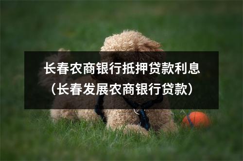 长春农商银行抵押贷款利息（长春发展农商银行贷款）