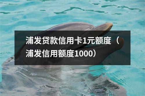 浦发贷款信用卡1元额度（浦发信用额度1000）
