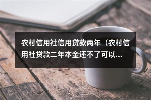 农村信用社信用贷款两年(农村信用社贷款二年本金还不了可以续贷吗)