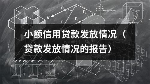 小额信用贷款发放情况（贷款发放情况的报告）