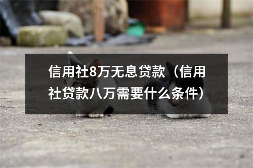 信用社8万无息贷款（信用社贷款八万需要什么条件）