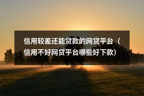 信用较差还能贷款的网贷平台（信用不好网贷平台哪些好下款）