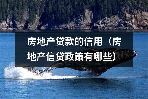 房地产贷款的信用（房地产信贷政策有哪些）