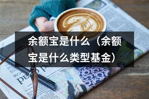 余额宝是什么（余额宝是什么类型基金）