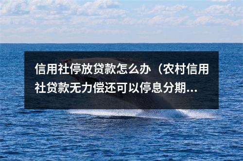 信用社停放贷款怎么办（农村信用社贷款无力偿还可以停息分期吗?）