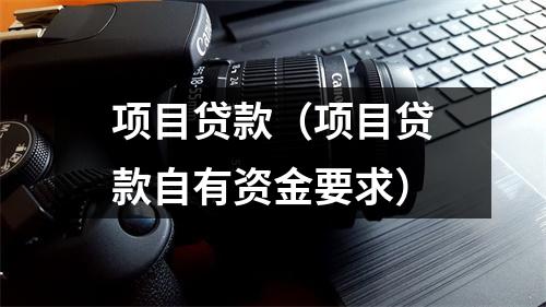 项目贷款（项目贷款自有资金要求）