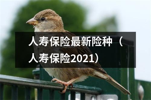 人寿保险最新险种（人寿保险2021）