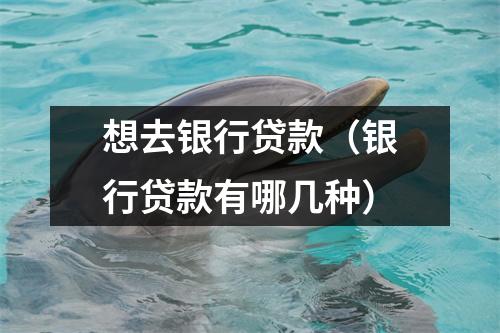 想去银行贷款（银行贷款有哪几种）