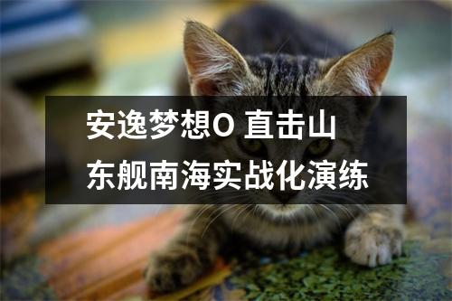 安逸梦想O 直击山东舰南海实战化演练