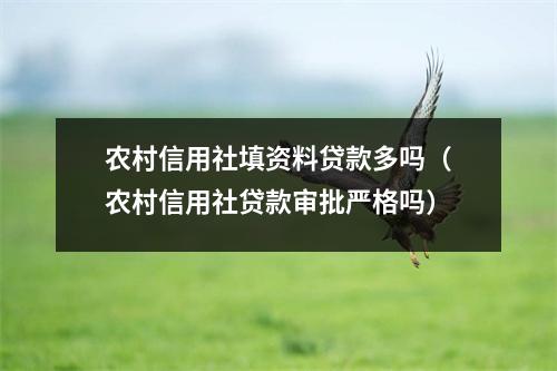 农村信用社填资料贷款多吗（农村信用社贷款审批严格吗）