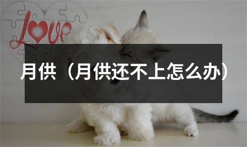 月供（月供还不上怎么办）