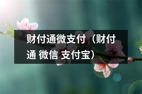 财付通微支付（财付通 微信 支付宝）