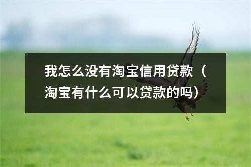 我怎么没有淘宝信用贷款（淘宝有什么可以贷款的吗）
