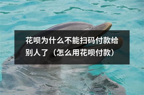 花呗为什么不能扫码付款给别人了（怎么用花呗付款）