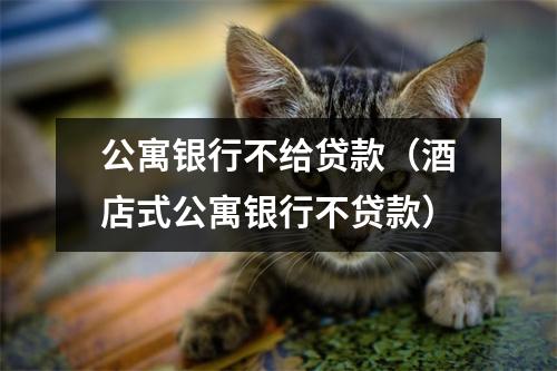 公寓银行不给贷款（酒店式公寓银行不贷款）