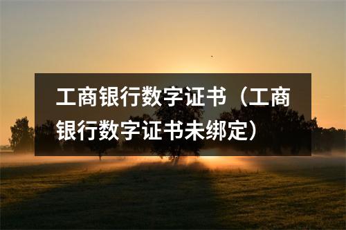 工商银行数字证书(工商银行数字证书未绑定)