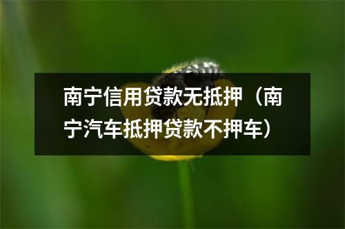 南宁信用贷款无抵押（南宁汽车抵押贷款不押车）