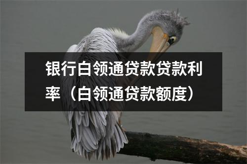 银行白领通贷款贷款利率（白领通贷款额度）