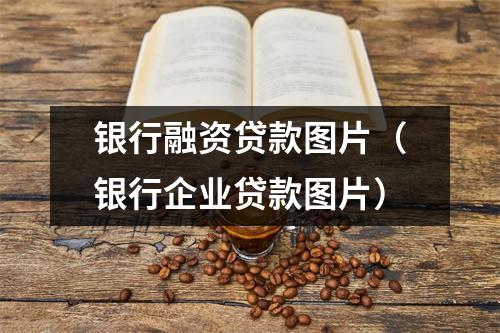 银行融资贷款图片（银行企业贷款图片）