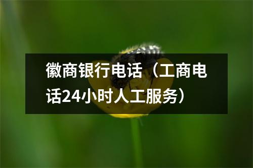 徽商银行电话（工商电话24小时人工服务）