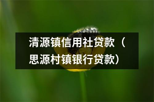 清源镇信用社贷款（思源村镇银行贷款）