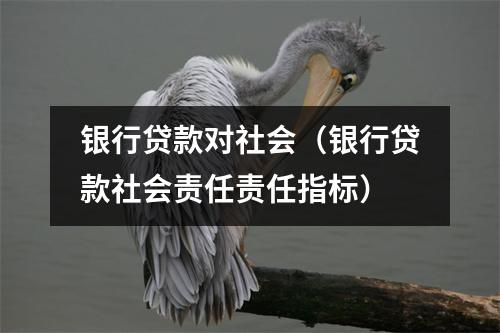 银行贷款对社会（银行贷款社会责任责任指标）