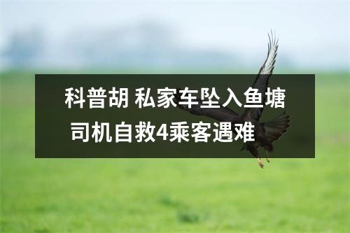 科普胡 私家车坠入鱼塘 司机自救4乘客遇难