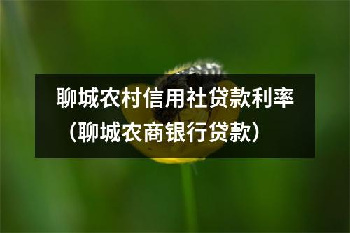 聊城农村信用社贷款利率（聊城农商银行贷款）