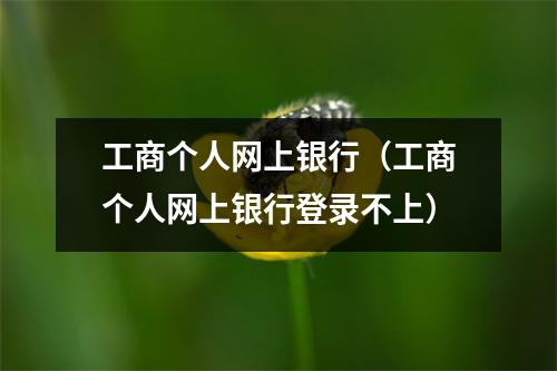 工商个人网上银行（工商个人网上银行登录不上）